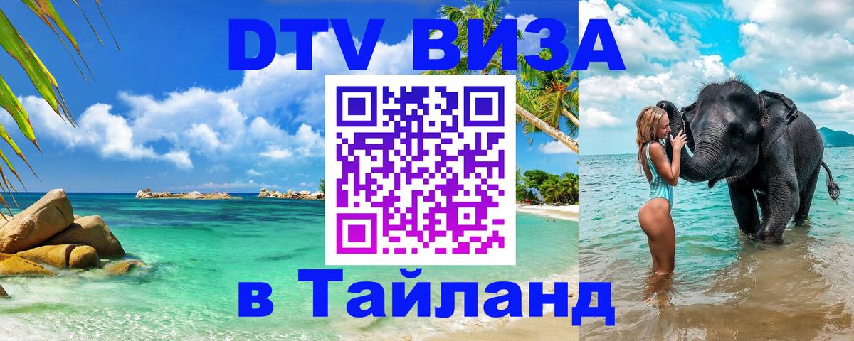 Оформление DTV визы под ключ: стоимость и тарифы, только загранпаспорт - 